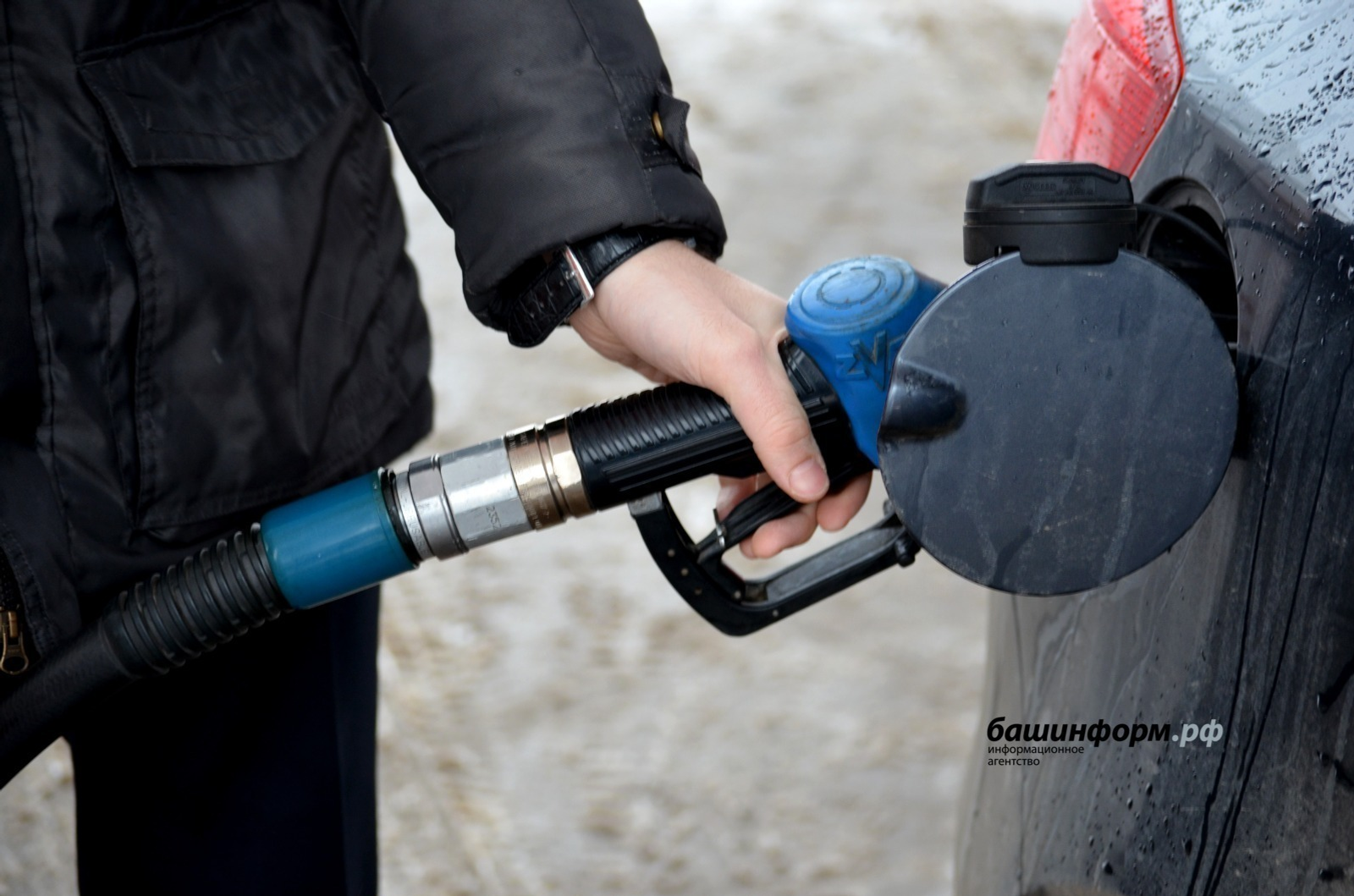 Фото:Ксения Калинина / архив ИА «Башинформ»