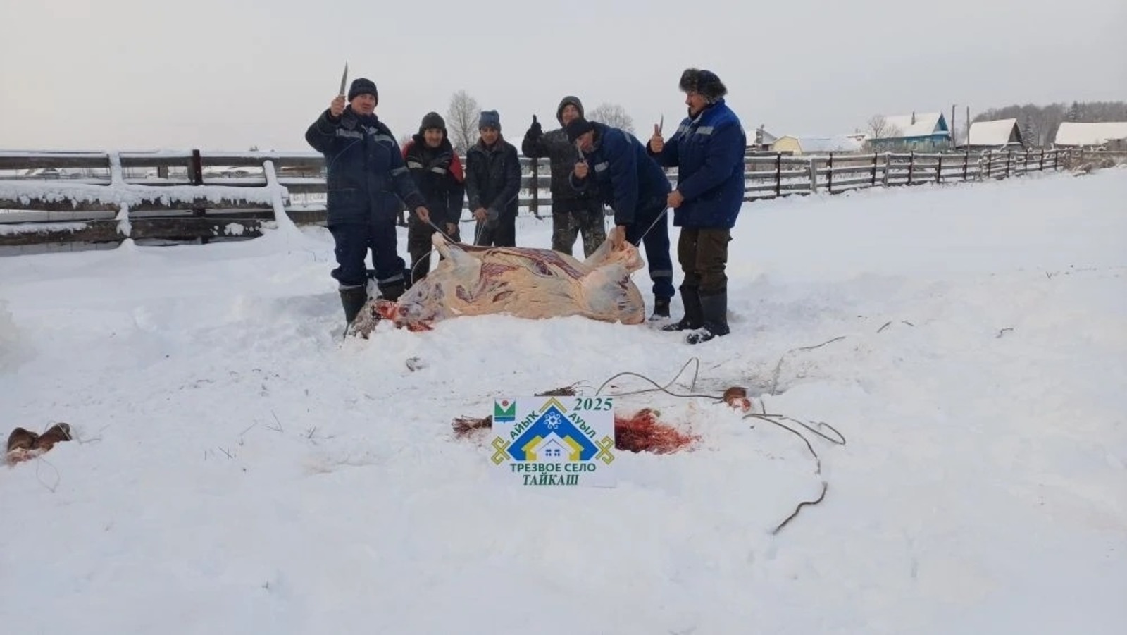 Марат Буляков Караидельский ИЦ Тайҡаш ауылында һуғым өмәһе