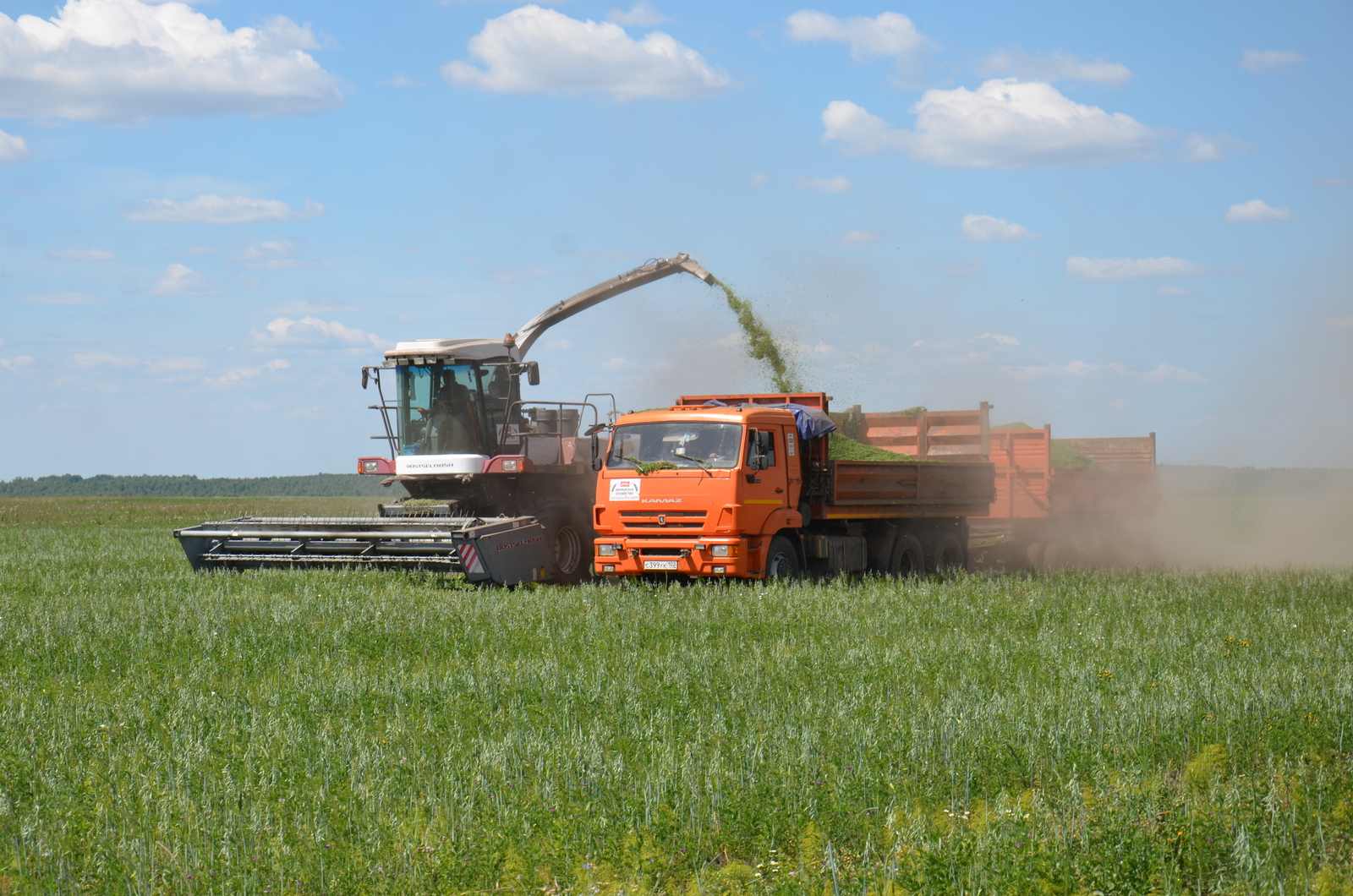 В хозяйствах Караидельского района продолжается заготовка травяных кормов