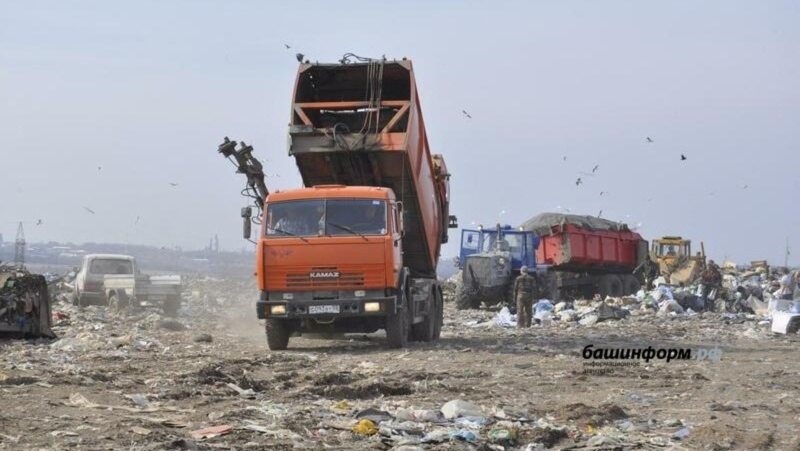 Госдума РФ приняла в первом чтении закон о штрафах за выброс мусора из машины