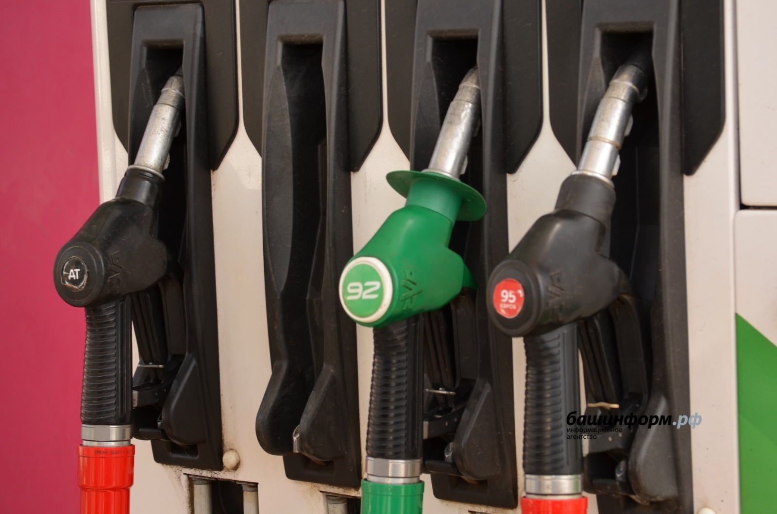 Фото:архив «Башинформ» / архив «Башинформ»